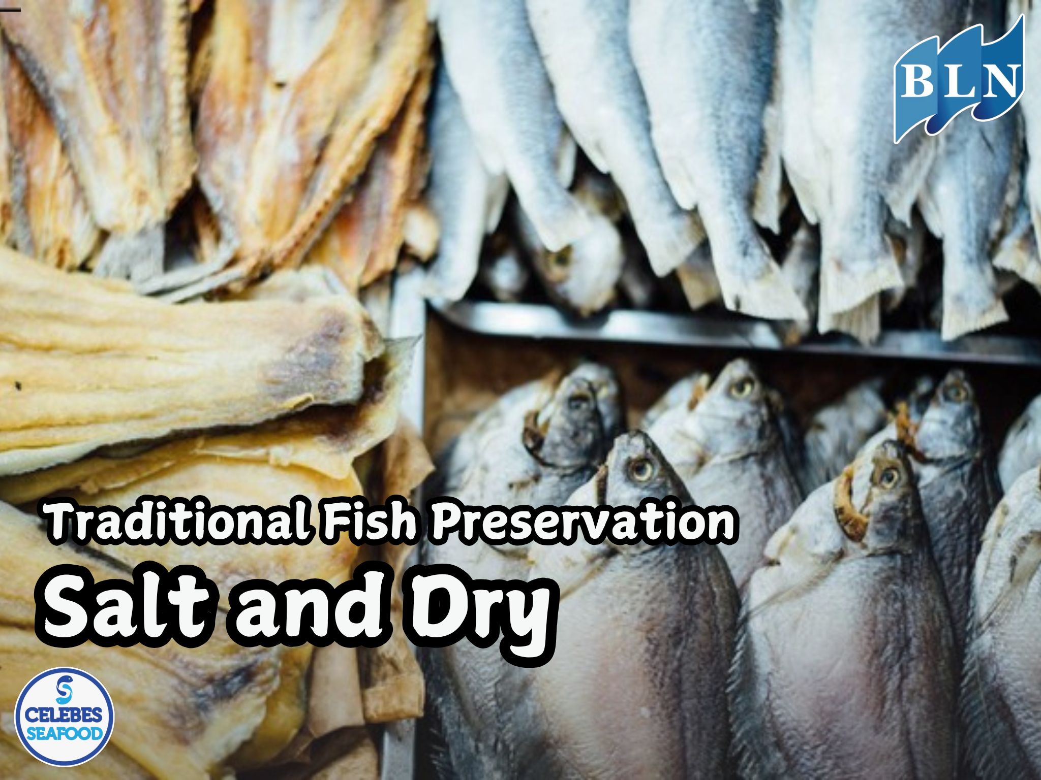 Get to know traditional fish preservation methods: salt and dry